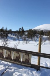 Bilde av 10_0228 jaktskifelt mårholdet