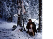 Harepest påvist