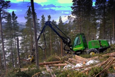 Bilde av skogsdrift Gravskardsbekken foto Jo Øvergaard