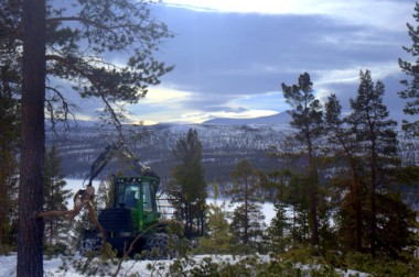 BilBilde av skogsdrift Bredrøstteigen foto Jo Øvergaardde av skogsdrift Gravskardsbekken 088