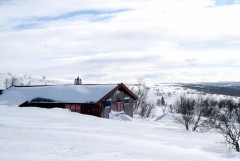 Bilde av Hytte foto Jo Øvergaard