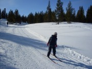 Skidag på skula