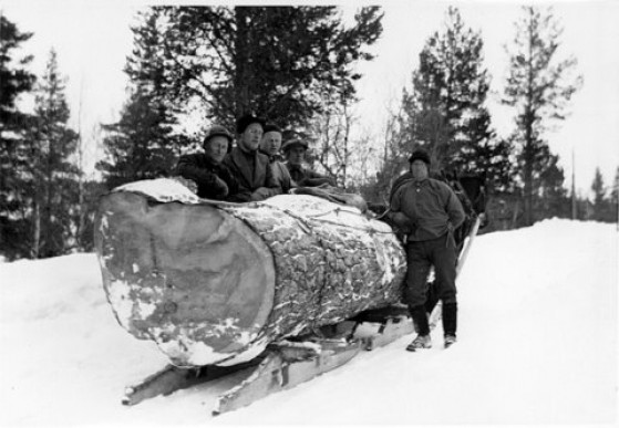 Bilde av 6_Transport med hest stor stokkFoto Rolf Øvergaard