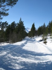 Bilde av vegen gjennom Megrunnslia. Foto Hans Sollid