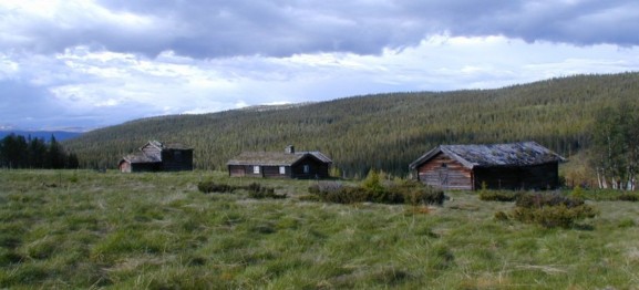 Bilde fra Mokjølen. Foto Hans Sollid 
