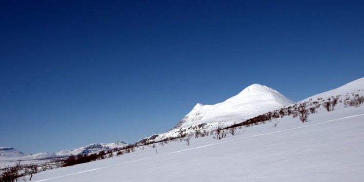 Sølenkletten fra Sølendalen foto Jo Øvergaard