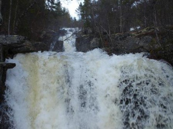 Hørsa foto Åse Synnøve Rønningen