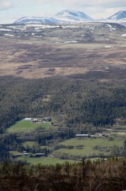 Bilde av vår i Øverdalen. Foto Mari Røstum