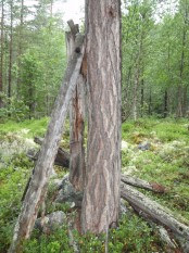 Bilde av rester etter stol over Storgryta. Foto Hans Sollid