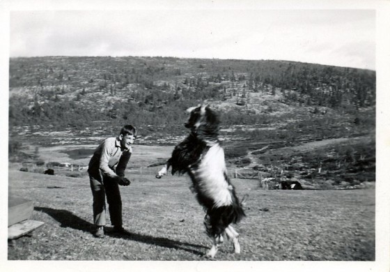 Bilde av bukker, foto Rolf Øvergaard