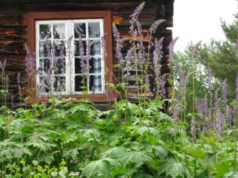 Bilde av 1seterstue, Småtjernsetra. foto Berit Gomnæs