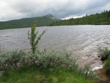 Bilde av 10_0720 tur til Finsjøen foto Berit Gomnæs