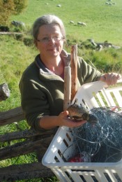 Bilde av fiskefangsten til Berit Brænd. Foto Hans Sollidt