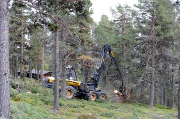 Bilde av hogstmaskin foto Jo Øvergaard