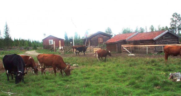 Bilde av Nedre Modalen seter. Foto Hans Sollid