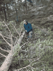 Bilde av Kjell Lønaas. Foto Hans Sollid