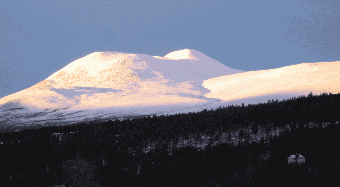 Bilde av Blåkampen og Gravskarhøgda. FotoTerje Brænd