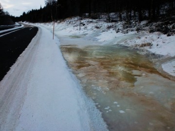 Bilde av stevling foto Rutn Sissel Moen