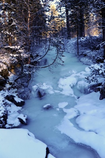 Bilde av Kvennbekken stevler foto Jo Øvergaard