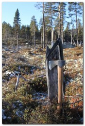 Bilde av Jaktøks og sag