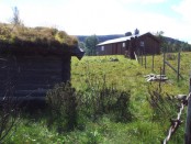Bilde av Gransetra. Foto Anne Marie R Grindstad