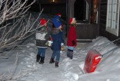Bilde av julebukker. Foto Birgitt Løchen