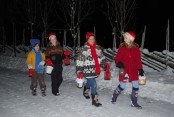 Bilde av julebukker: Foto Bigitt Løchen