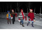 Julebukker 2010