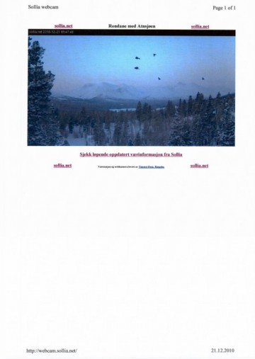 Bilde av orrfugler foto www.sollia.net