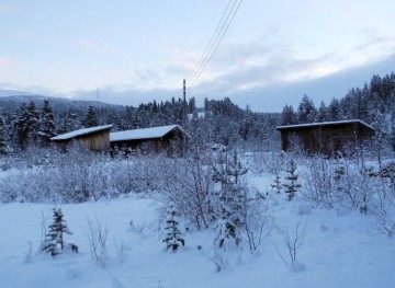 Bilde av Hamnsaga foto Jo Øvergaard