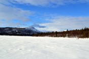 Bilde av skiløyper på Finnsjøen. Foto Anita Løvlien