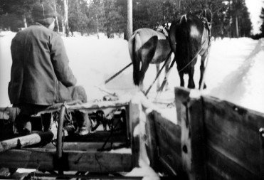Bilde av Ferdinand m snyplog. Foto fra Sollia3
