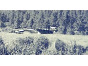 Uttalelser om Finnstadbrua