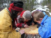 Bilde av årring studie foto Jo Øvergaard