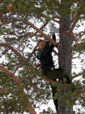 Bilde av Trygve Holmsen som monterer antenne. Foto Hans Sollid