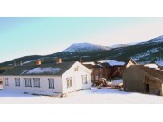 Stor interesse for Brenna