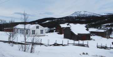 Bilde av Brenna. Foto Birgitte Løchen
