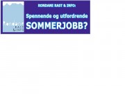 Jobb som "informasjonssjef"?