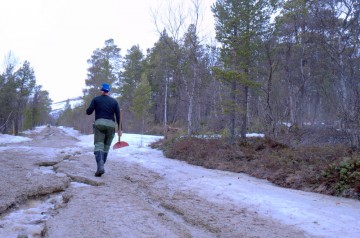 Bilde fra Megrunnslia foto Jo Øvergaard
