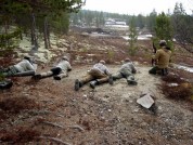 Bilde avet av lagene på reveholde. Foto hans Sollid