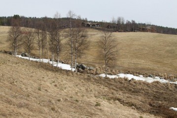 Bilde av lokalitet for belsterovn foto BB