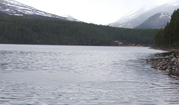 Bilde av det vakes nordi sjøen. Foto Håkon Edvard Nesset