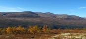 Illustrasjonsbilde fra Megrunnslia. Foto Hans Sollid