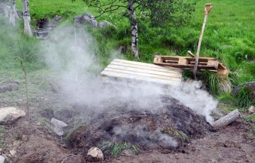 Bilde av kolmile 0Foto Jo Øvergaard