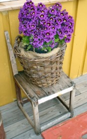 Bilde av gamlestol som fungerer som underlag for blomster. Foto Hans Sollid