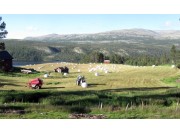Slåtten i gang - og vel så det!