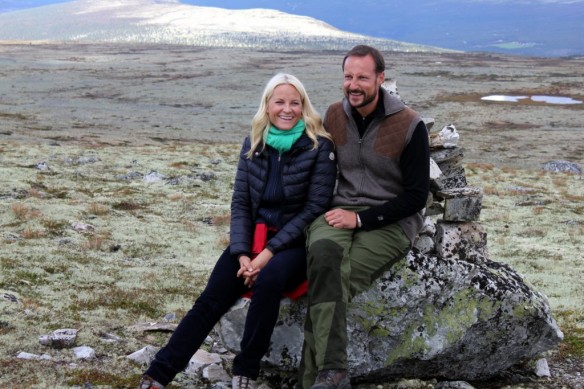 En blir rett glad over å sjå et slikt par oppi fjellet i Sollia. Foto Hans Sollid