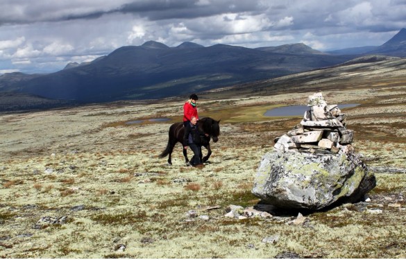 Kronprinsesse Mette Marit på hesteryggen mellom Pika og Finnsjøvola 2011 foto Jo Øvergaard