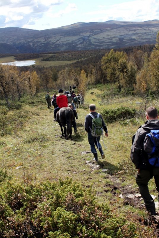 Vi når bjørka og ser Storåstjønnet i bakgrunnen. Foto Hans Sollid