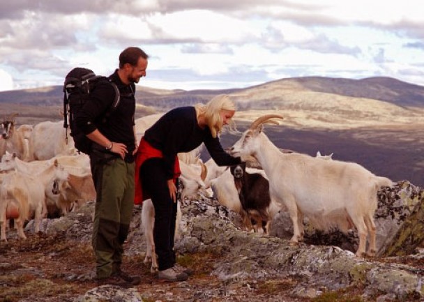 Bilde av kronprinsparet med geiter. Foto Jo Øvergaard